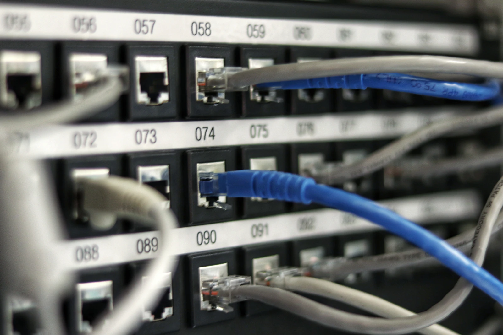 Netzwerk-Patchpanel mit Ethernet-Kabeln – Sinnbild für eine betreute Firewall und Netzwerksicherheit