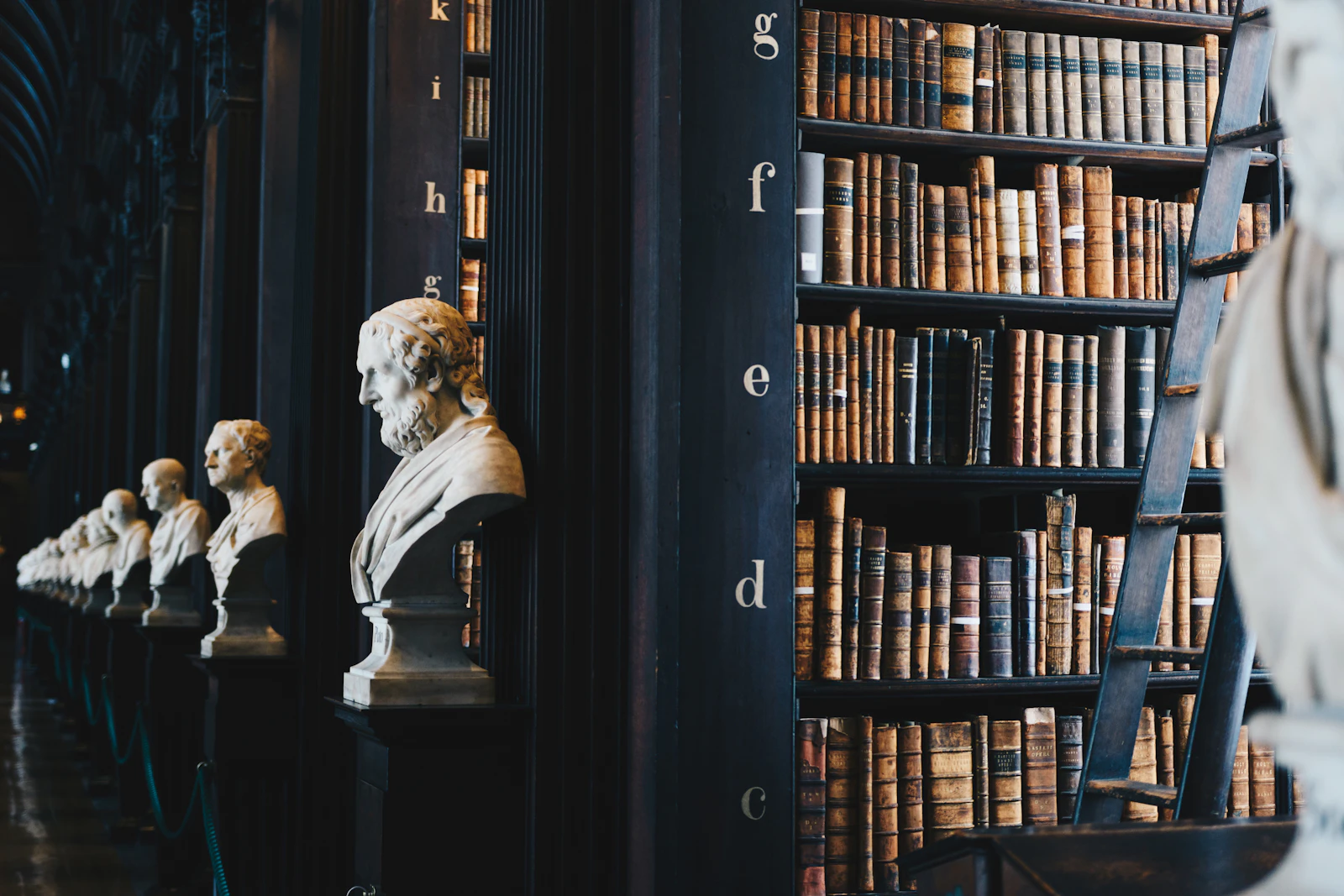 Klassische Bibliothek mit Büsten und Regalen – Sinnbild für eine traditionsreiche Rechtsanwaltskanzlei
